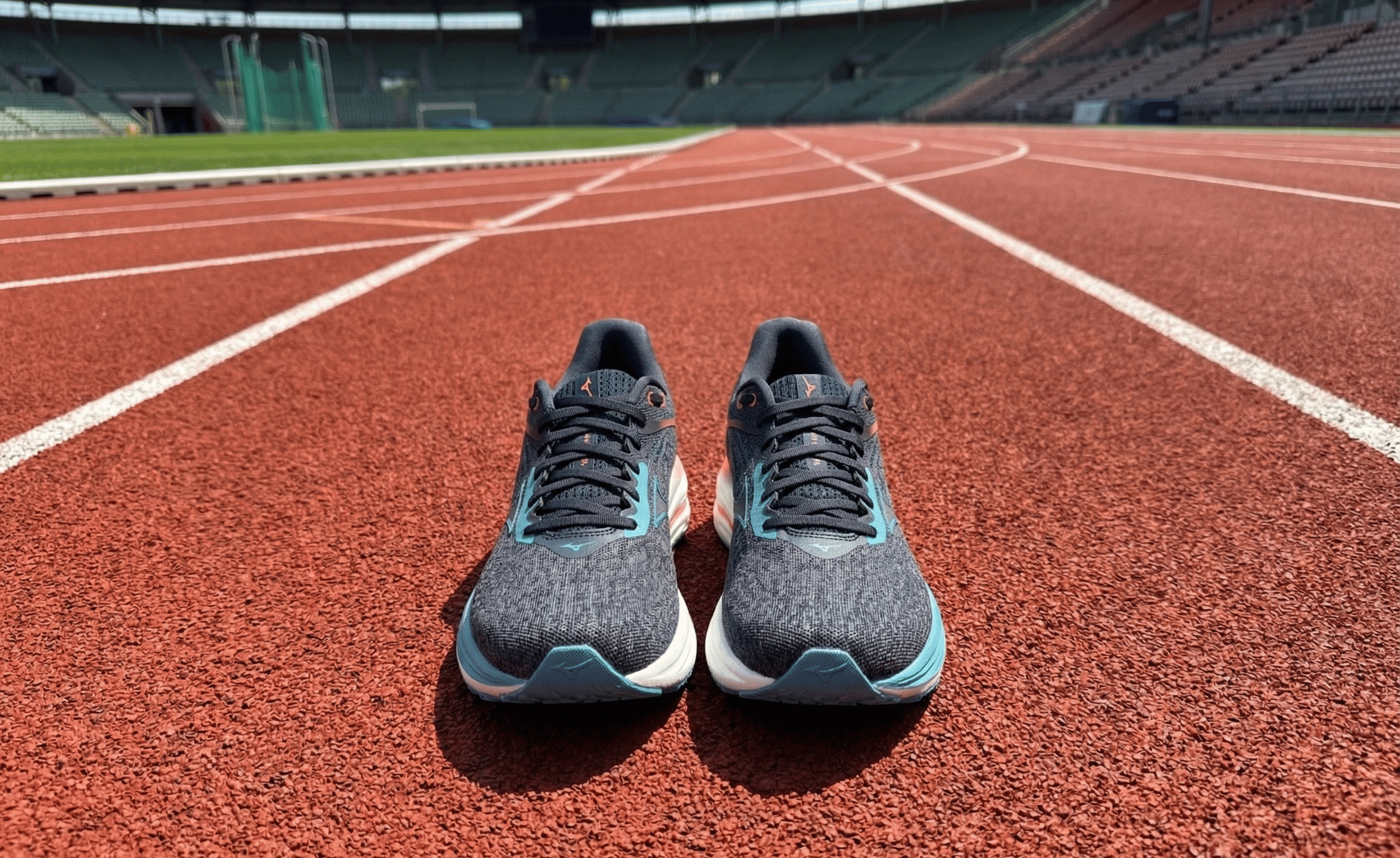 Mizuno Wave Rider 29